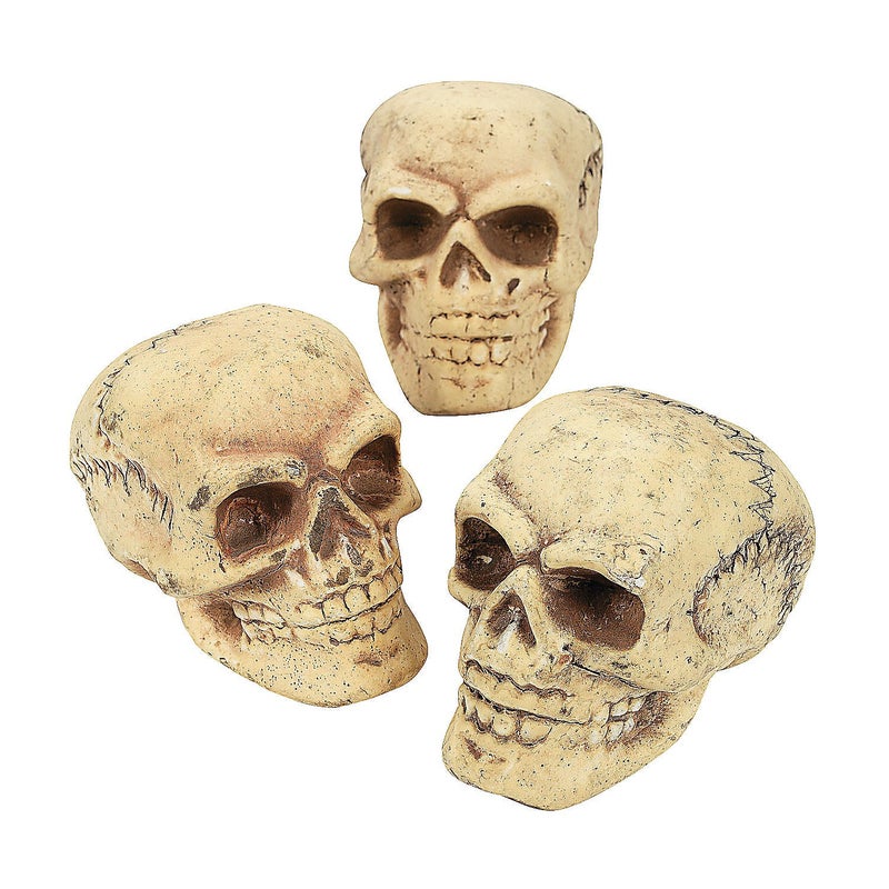 Fun Express Small Skulls for Halloween - Set of 3 - Use for Shrunken Heads and Scary Home Decor - Image 1